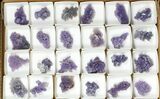 Lot: Grape Agate From Indonesia - Pieces #105233-2
